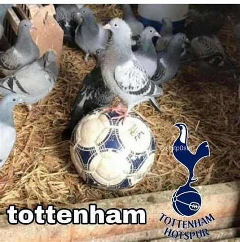 Tottenham - Meme by GodKing34YT :) Memedroid