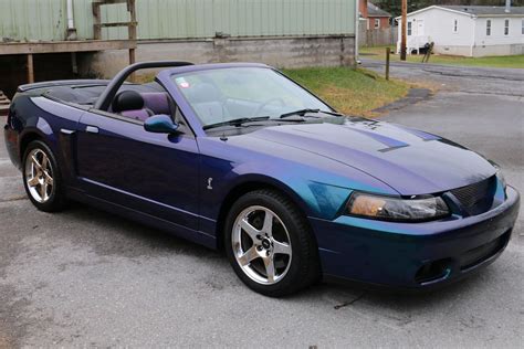 MystiChrome 2004 Ford Mustang SVT Cobra Convertible Up For Auction