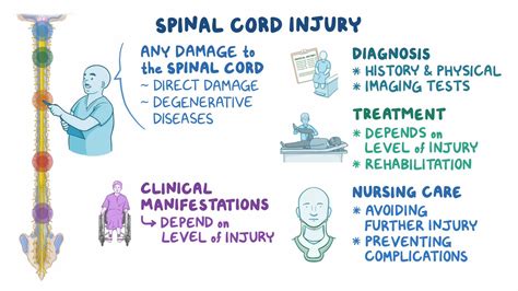 Nursing Care for Spinal Cord Injury - Osmosis Video Library