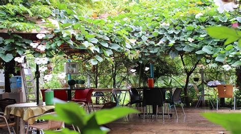 Picturesque Homestay near Chikmagalur City - Homestay in Chikmagalur ...