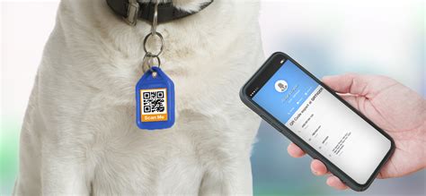 How to use QR code for dog tags to protect your dog - Free Custom QR ...