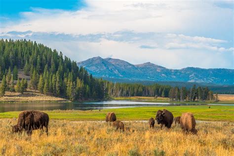 National Parks of Montana: Yellowstone – Montana Connections Business Development Park