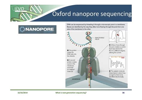 NGS - Basic principles and sequencing platforms