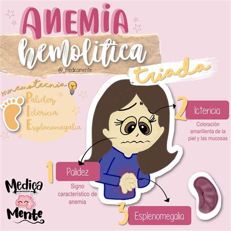 Anemia Hemolítica, School Binder, Medical Science, Nursing Students ...