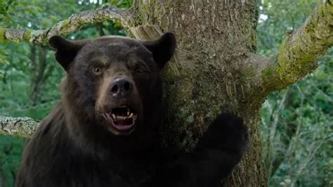 Is Cocaine Bear based on a true story? Wild real-life inspiration ...