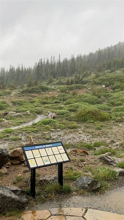 Soothing rain in Arapaho National Forest : r/NationalPark