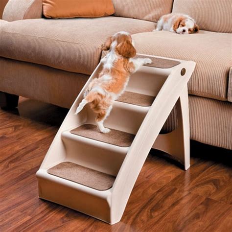 10 Awesome Gift Ideas Your Pets Will Love - The Owner-Builder Network