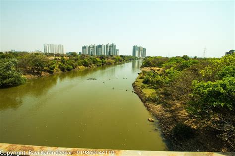 Ravi Karandeekar's Pune Real Estate Market News Blog: A Visit to Mahalunge Hinjewadi Bridge