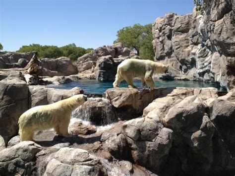 The Rio Grande Zoo at the ABQ BioPark covers 64 acres and features ...