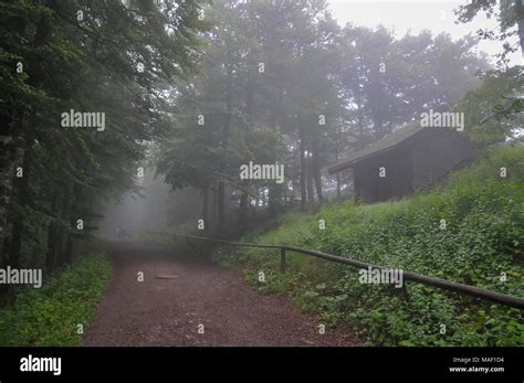 hiking on the mountain Schauinsland, Baden-Wurttemberg, Germany Stock Photo - Alamy