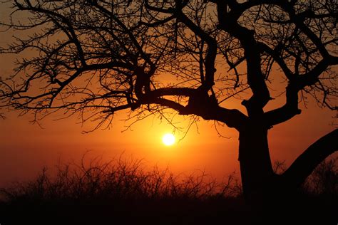 Sunset on safari in South Africa. [OC] [6000x4000] : r/SkyPorn