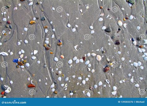 Shells and Rocks by the Sandy Beach Stock Photo - Image of winter ...