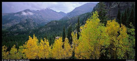 Rocky Mountains: Rocky Mountains Landscape