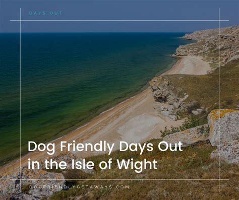 The Best Dog Friendly Beaches on the Isle of Wight