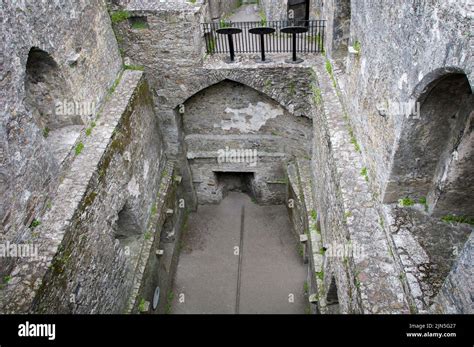 BLARNEY, IRELAND. JUNE 13, 2022. Interior view of the destroyed Blarney Castle Stock Photo - Alamy