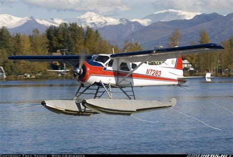 De Havilland Canada DHC 2 Beaver - Alchetron, the free social encyclopedia