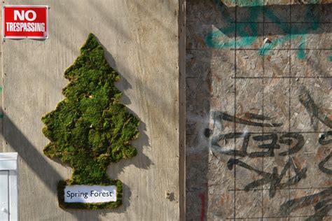 Moss Graffiti – Honestly WTF