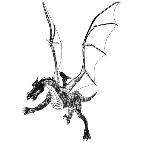 Dragon Sketch Free Stock Photo - Public Domain Pictures