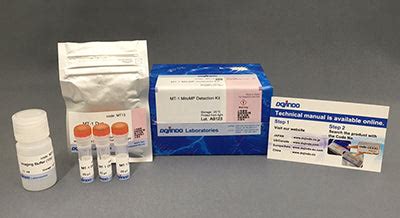 MT-1 MitoMP Detection Kit – Dojindo Molecular Technologies, Inc.