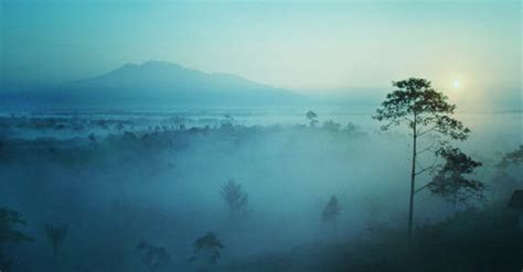 Bukit Barisan National Park II