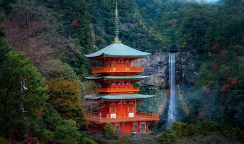 10 amazing things to do in Wakayama, Japan! - fromJapan