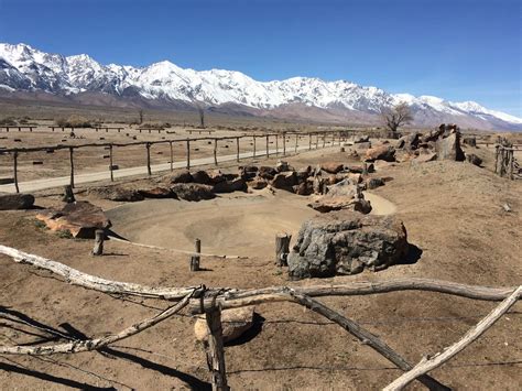 The Illustrated Plant Nut: The Gardens of Manzanar