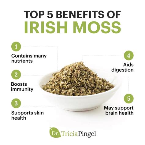 5 Amazing Irish Moss Benefits - Dr. Pingel