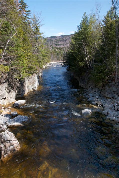 Wide Rocky River Through the Woods • Free Nature Stock Photo