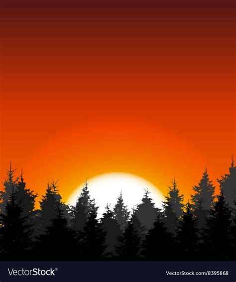 Silhouette of tree on sunset background Royalty Free Vector