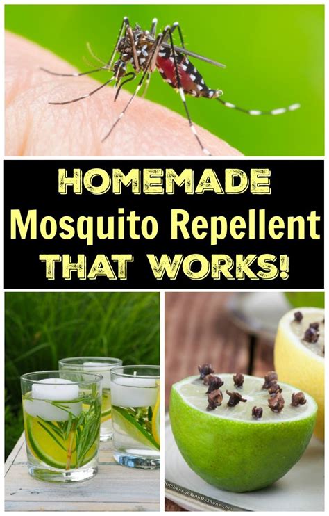 How To Make Natural Homemade Mosquito Repellent with only 5-ingredients ...