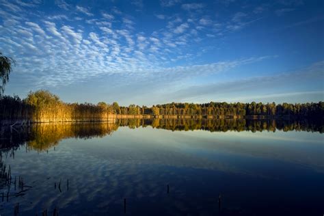 Nature of Belarus | President - for Children | Official Internet Portal ...