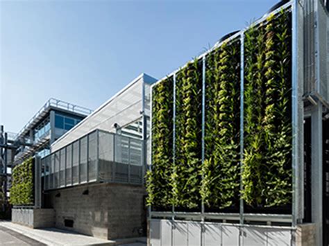 Monash Uni's living wall installation aid greener public spaces | Architecture & Design