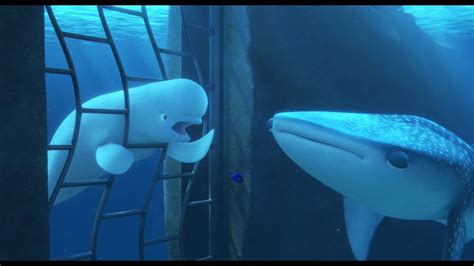 'Finding Dory' (2016) Official Clip 'You're a Beluga' - YouTube