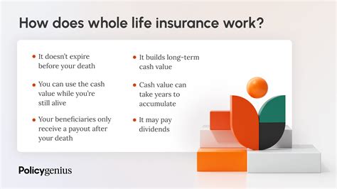 What Is Whole Life Insurance & How Does It Work? – Policygenius