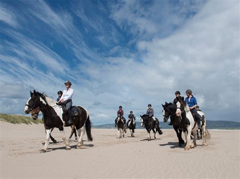 Ireland Equestrian Tours Galway | Photos, Reviews and Location Map