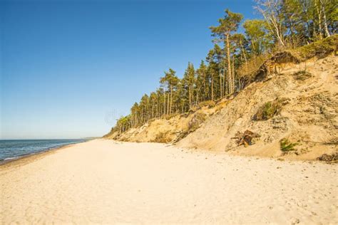 Baltic Sea in Poland with Pines and Dunes Stock Image - Image of ...