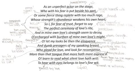 English Poetry ISU: Shakespeare Sonnet 23 - Analysis