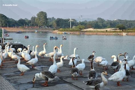 Sukhna Lake - The Only Waterbody Of Chandigarh | Inditales