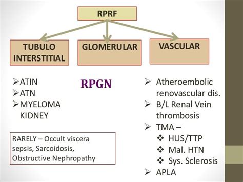 Approach to Rapidly Progressive Glomerulonephritis RPGN