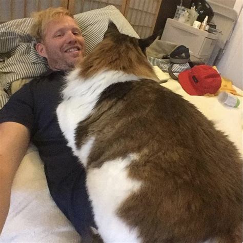 a man laying in bed next to a large brown and white cat on top of him