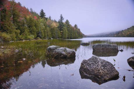 Fog On The Lake - Thomas Slatin