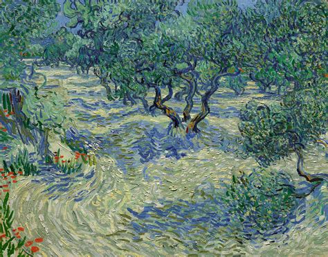 Olive Orchard Painting by Vincent van Gogh