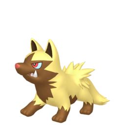 Poochyena sprites gallery | Pokémon Database