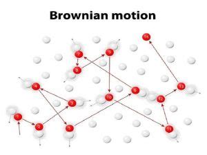 8 Brownian Motion Examples in Real Life – StudiousGuy