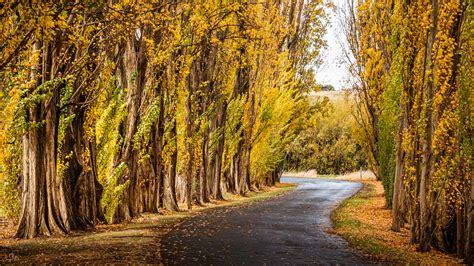 Tasmania: Landscape Photography Tour 2023 | Venture Photography Workshops