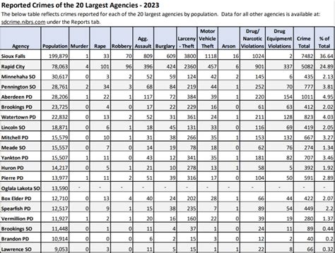 Violent crime down, drugs and DUI up in 2023