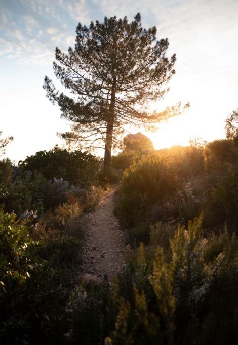 Our Guide to the Best Corsica Hiking Trails