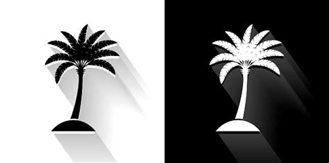 Tropische Palme Schwarz Und Weiß Symbol Mit Langen Schatten Stock Vektor Art und mehr Bilder von ...