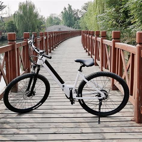 Electric City Bike Lithium Battery Mountain Ebike Disc Brake Bike for ...