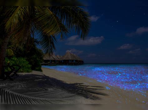 Sea Of Stars Vaadhoo Island